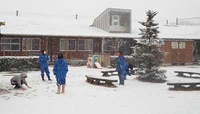 中庭に降った雪
