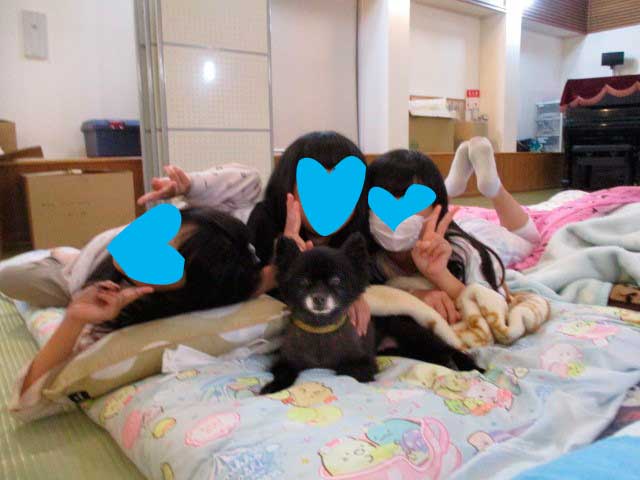 ワンちゃんとお泊り会